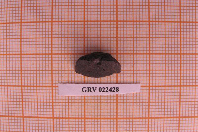 南極隕石GRV022428