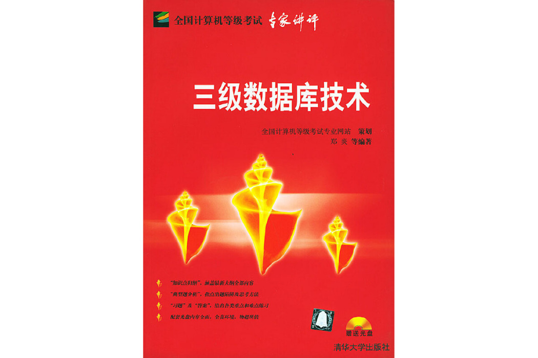 三級資料庫技術(2004年清華大學出版社出版的圖書)