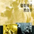 黑白李(1998年南海出版公司出版的圖書)