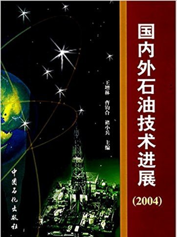 國內外石油技術進展2004