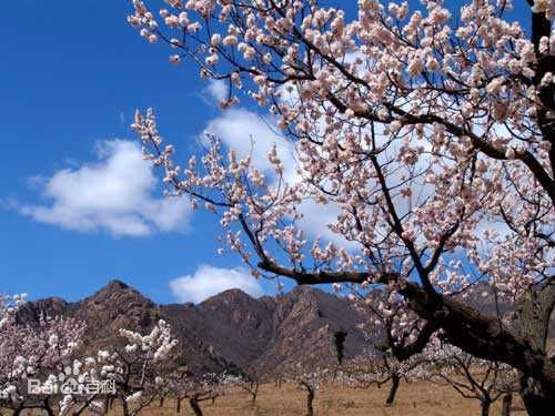 遼寧葫蘆島虹螺山國家級自然保護區