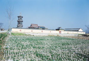 鹽城旅遊景點