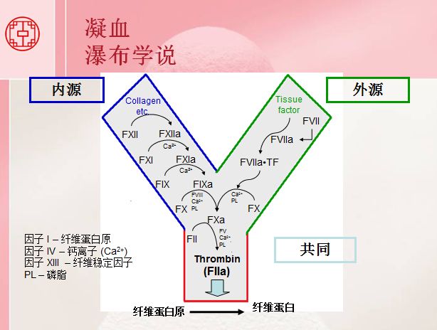 瀑布學說