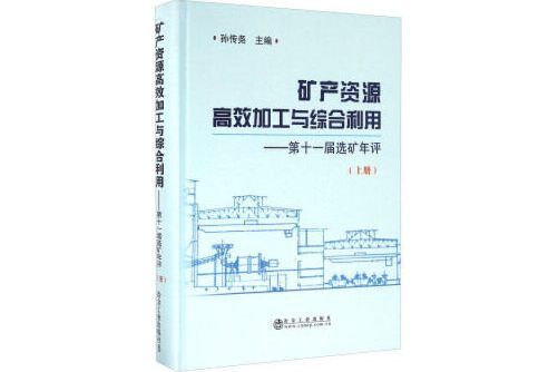 礦產資源高效加工與綜合利用-上冊