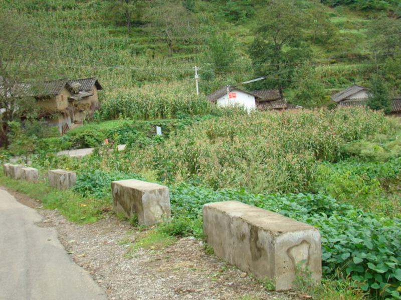 核桃村(雲南省昭通巧家縣白鶴灘鎮核桃村)