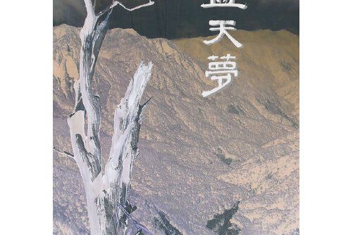 藍天夢(2013年中國文史出版社出版的圖書)