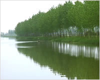 三岔河濕地自然保護區