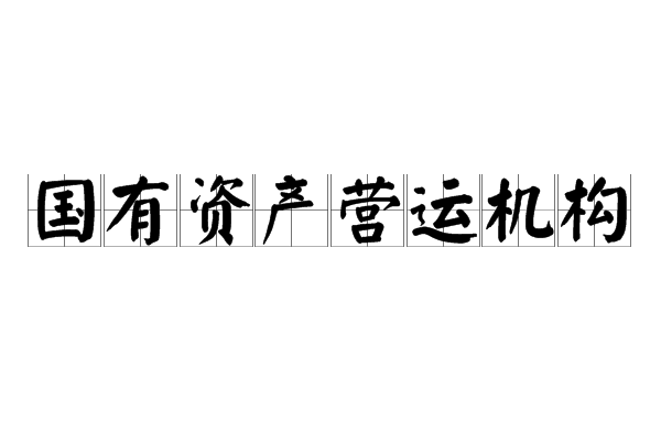 國有資產營運機構