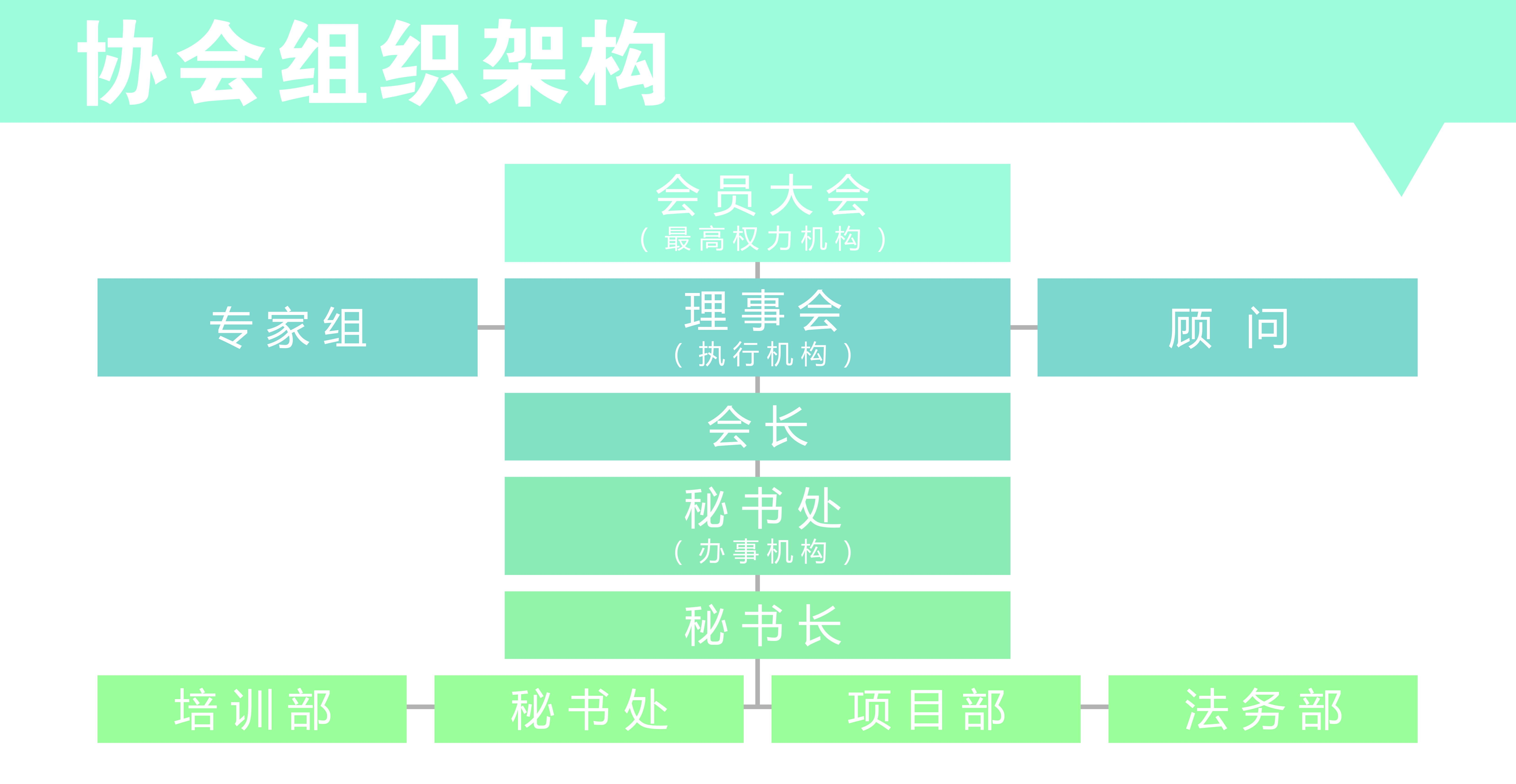 南寧市電子商務行業協會