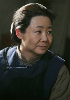 小姨多鶴(2009年孫儷、姜武等主演的年代劇)