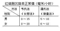 紅細胞沉降速率