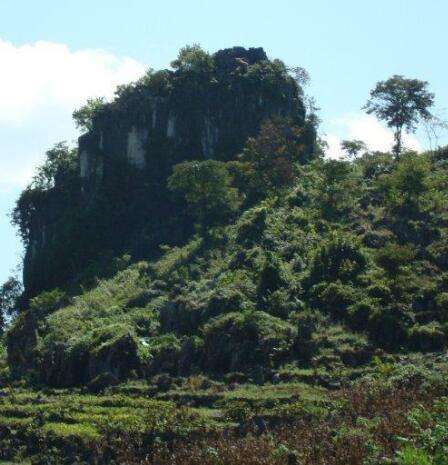 板台村(雲南曲靖市羅平縣魯布革鄉下轄村)