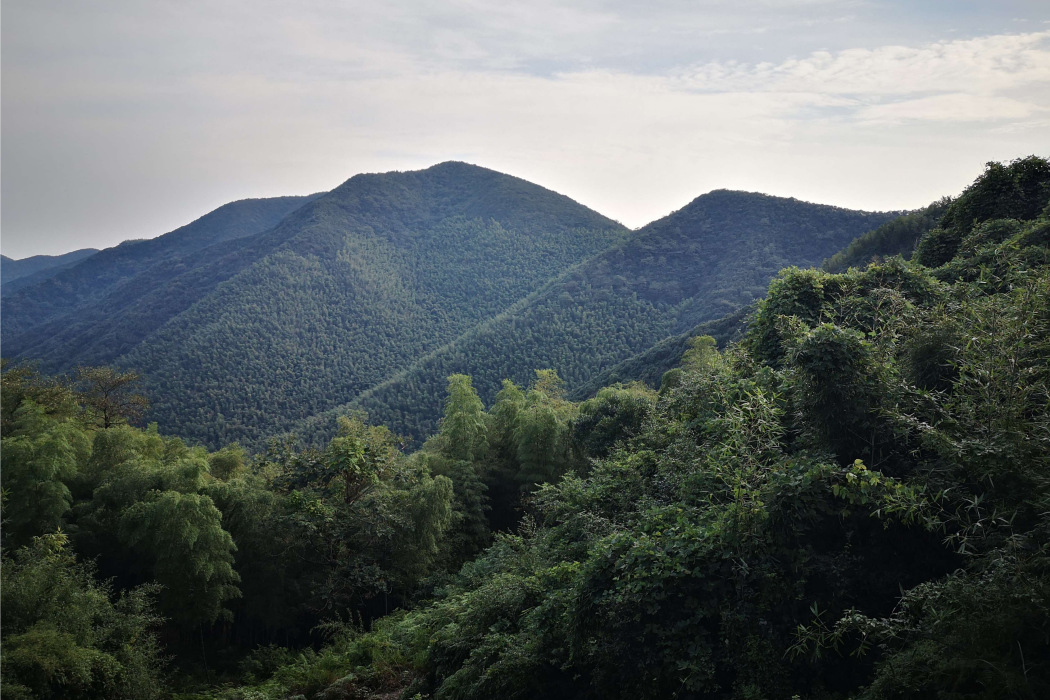 埋汰頂子山