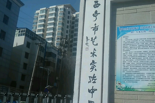 西寧市藝術實驗中學