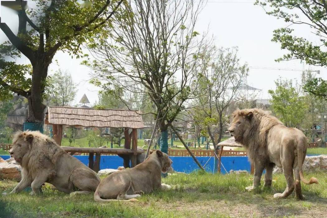 徐州野生動物園