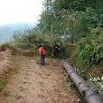 王家山村(雲南省曲靖市會澤縣雨碌鄉王家山村)