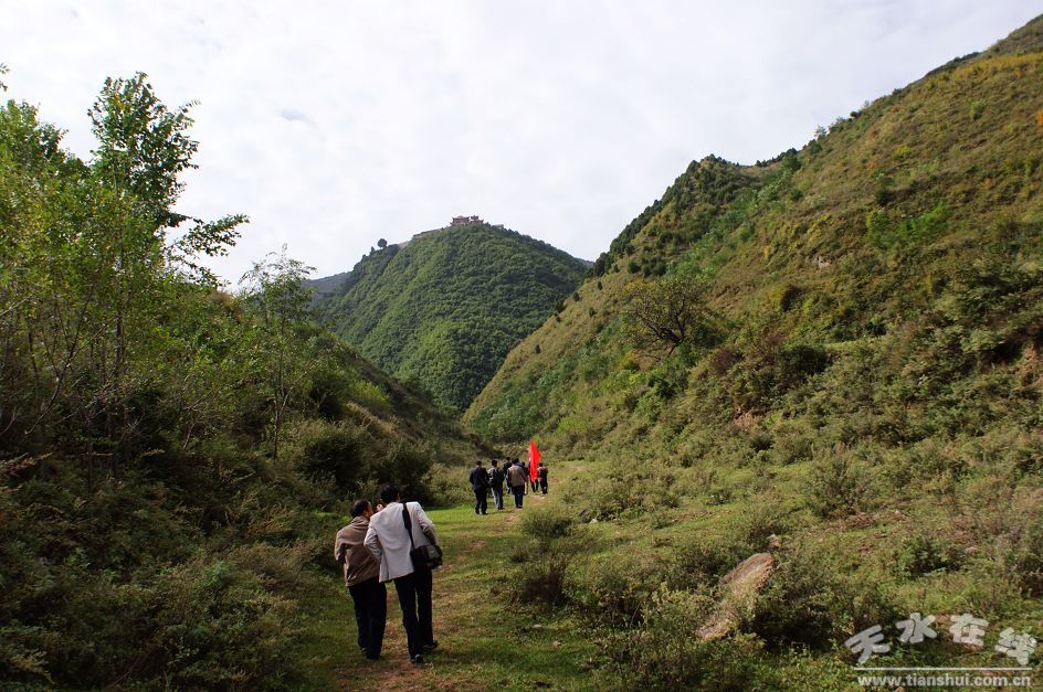 遠眺龜鳳山