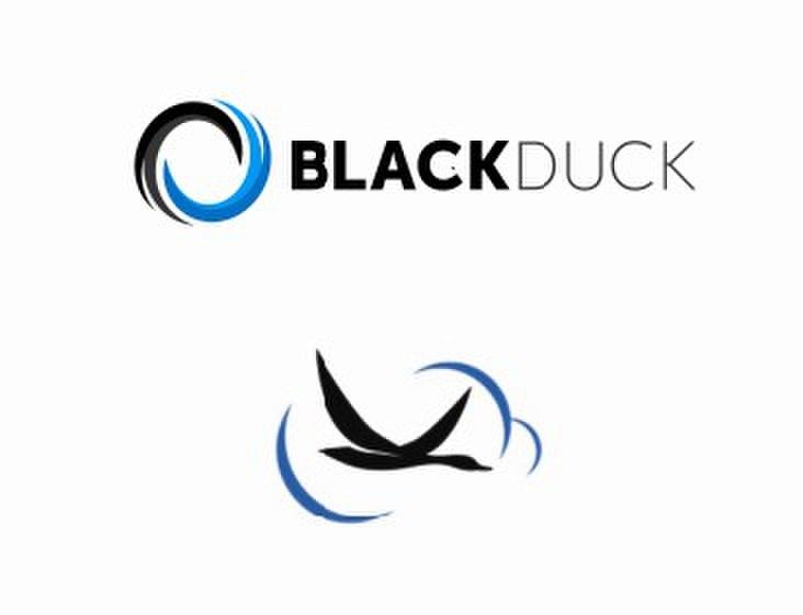 blackduck軟體