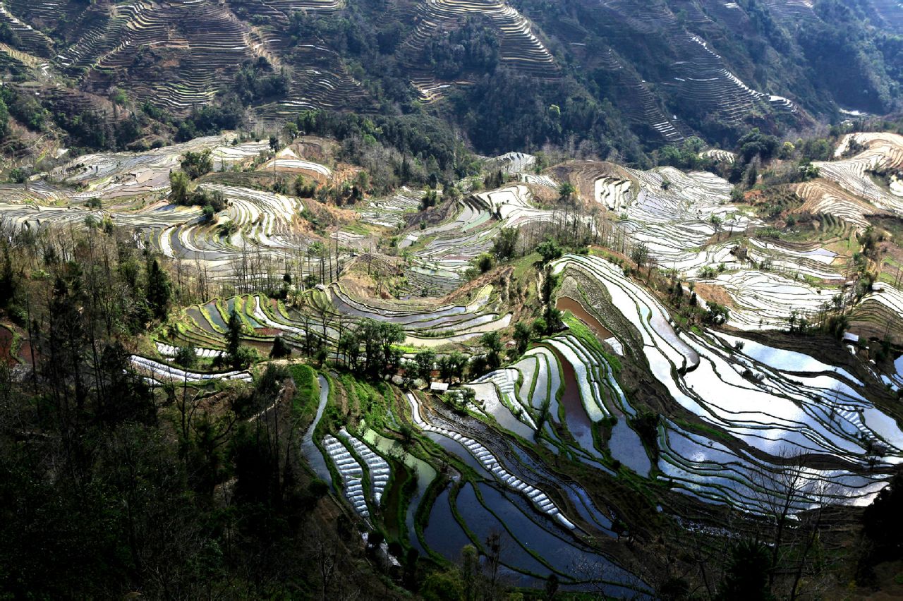 哈尼梯田