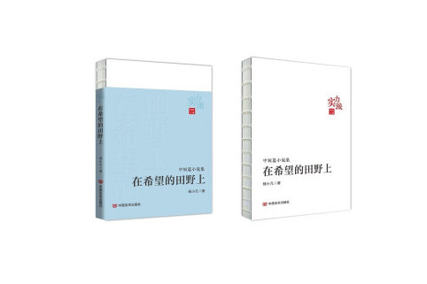 在希望的田野上(2023年中國言實出版社出版的圖書)