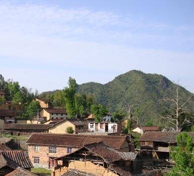 岳東村(安徽省蒙城縣岳坊鎮下轄村)