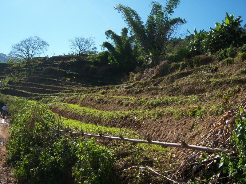 立馬拽村