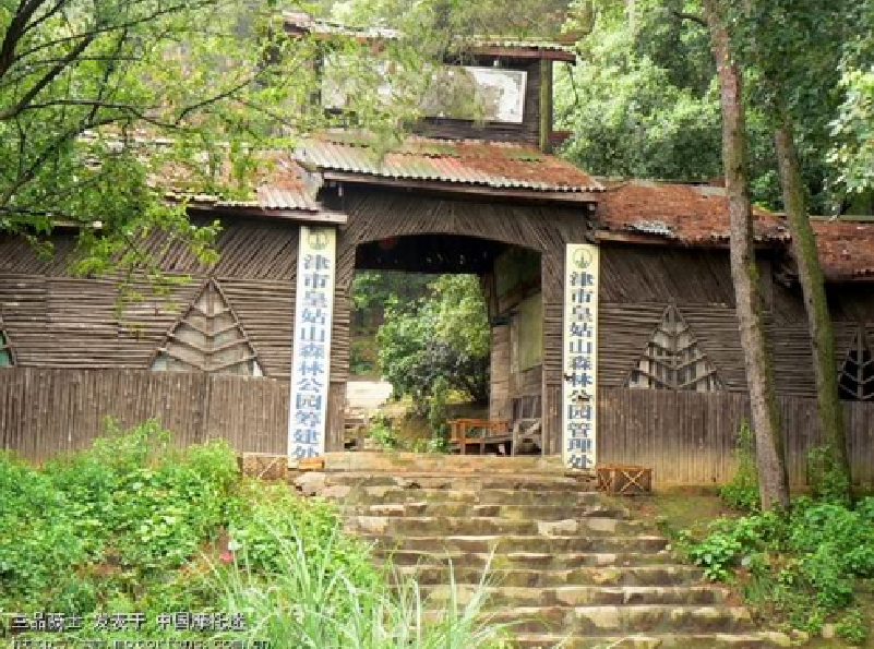 津市森林公園