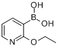 2-乙氧基吡啶-3-硼酸