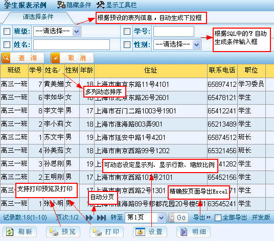 華丹Charisma線上自定義Web報表