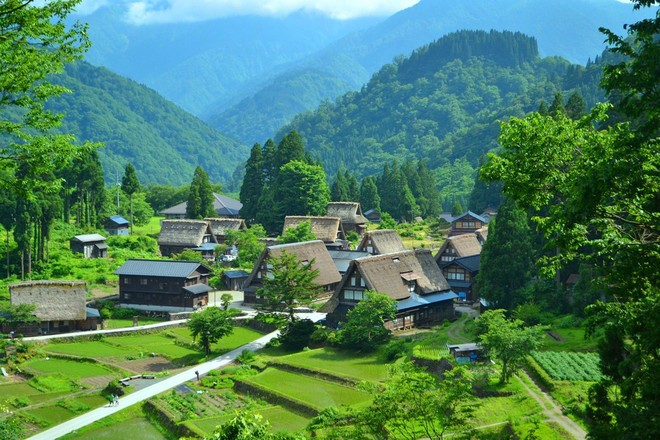 中村(雲南省楚雄市西舍路鄉德波苴村委會下轄村)