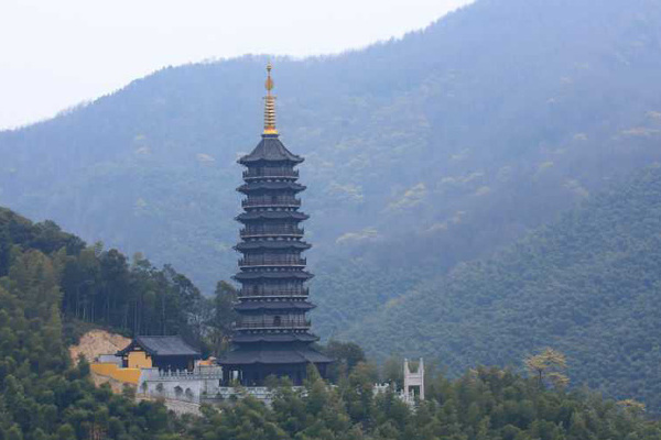 浙江天童國家森林公園(天童森林公園)