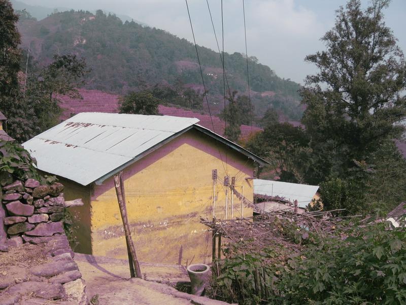 阿哈迷下寨村