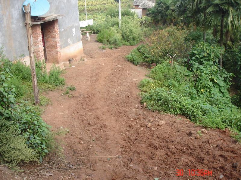 石子路村進村道路圖片