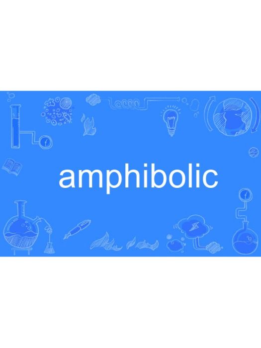 amphibolic