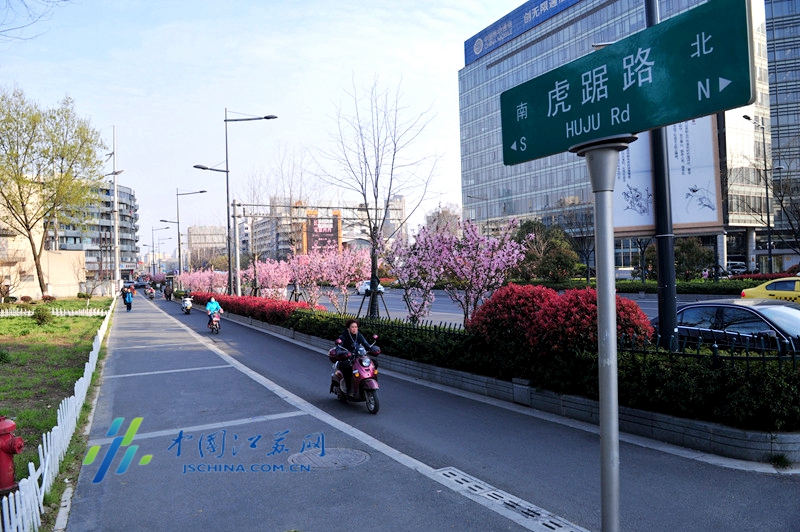 虎踞路街景