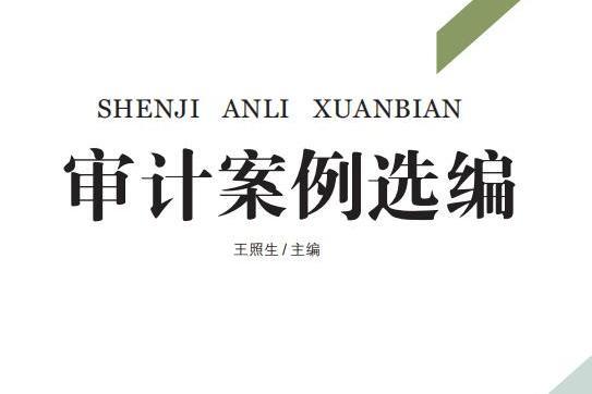 審計案例選編(2020年中國時代經濟出版社有限公司出版的圖書)