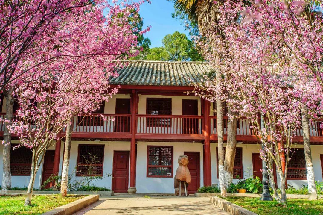 雲南大學建築群