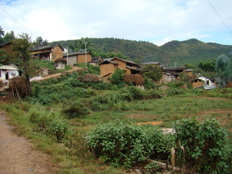 酸杷山自然村