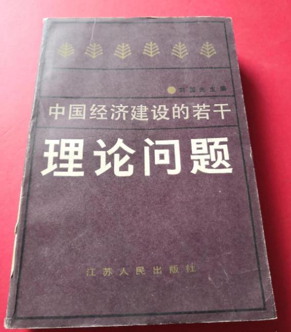 中國經濟建設的若干理論問題