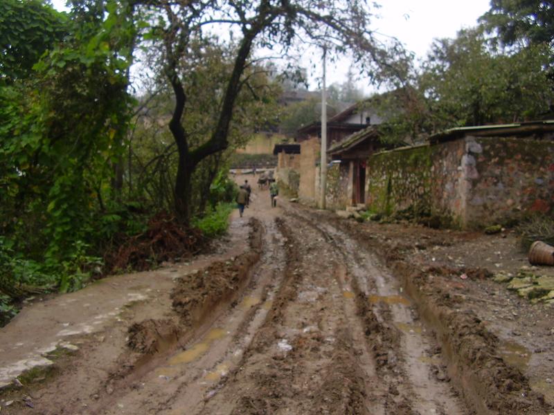 進村道路