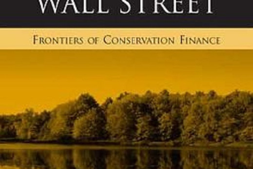 From Walden to Wall Street