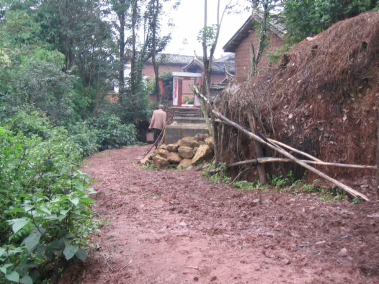 村莊道路