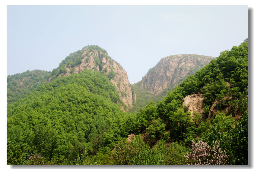 草廟村(河南洛陽市嵩縣下轄村)