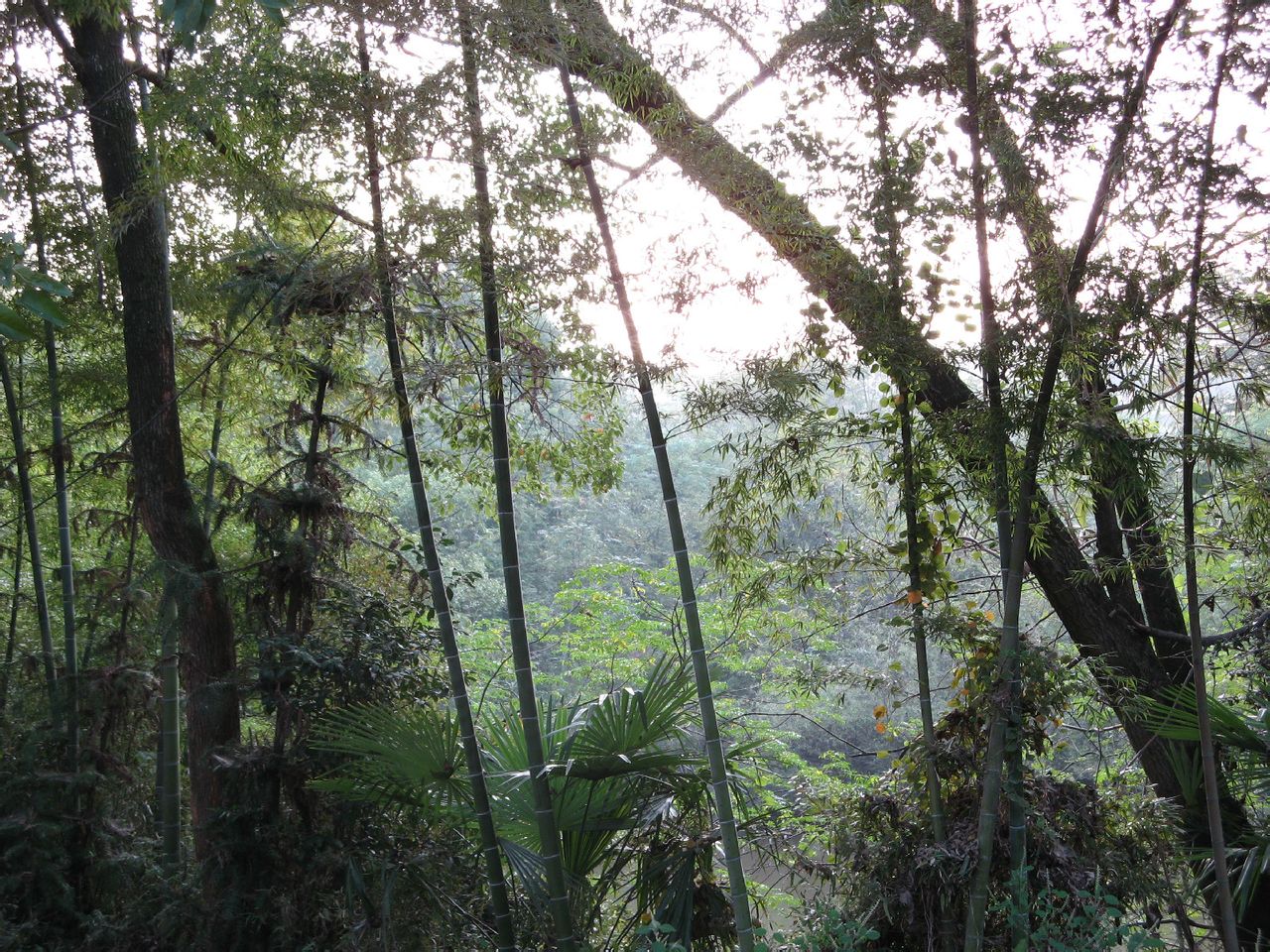 雙塘塢風景