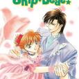 Skip Beat!, Vol. 17