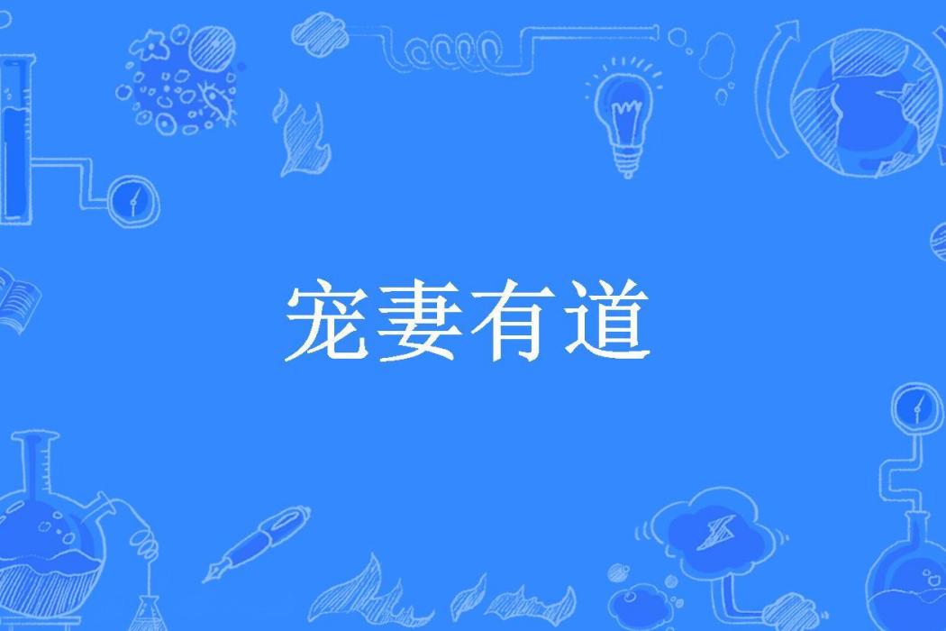 寵妻有道(時鹿所著小說)