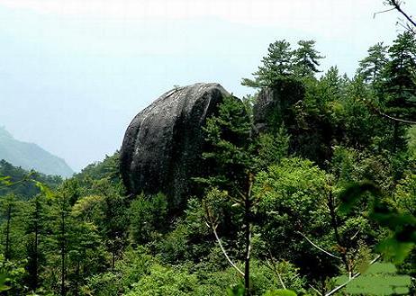 龍駒寨