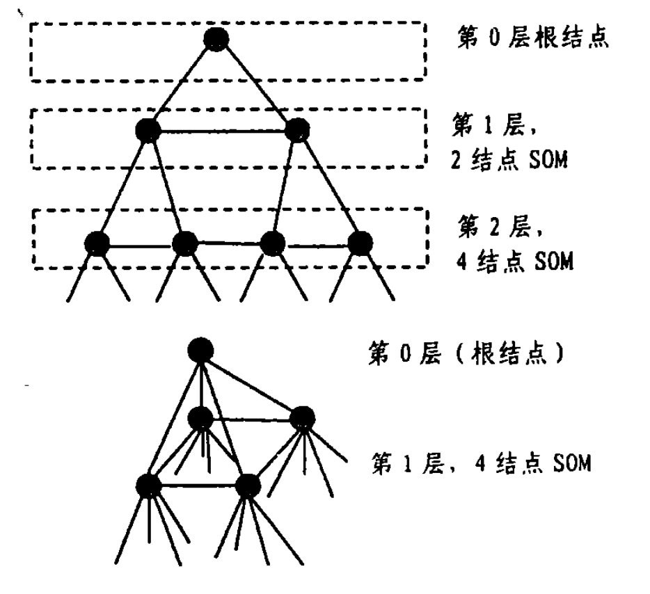 一維及二維的TS-SOM