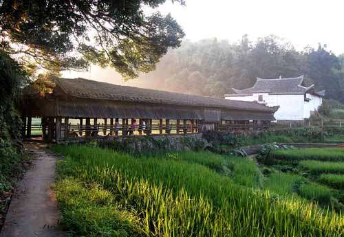 寶珠村(廣東省雲浮市鬱南縣下轄鎮)