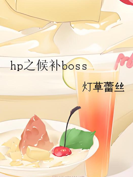 hp之候補boss